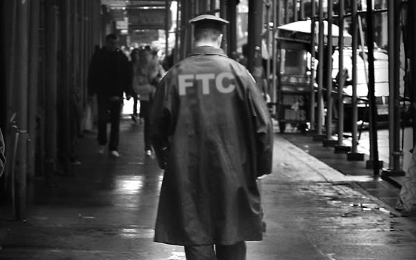 2014-11-13 Amicus brief, Wyndham_blog