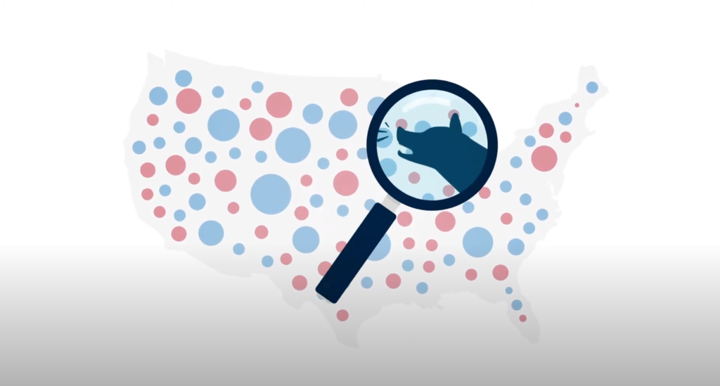 A still from an animated PSA by CDT, discussing how to build up trust in the face of election misinformation & disinformation. On top of an outline of the continental United States, a collection of growing and changing red and blue circles represent conversations happening across the country. A magnifying glass looks closer at a potential source of mis- / disinfo.