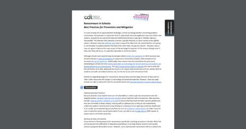 Screen Shot of CDT's short report, entitled 