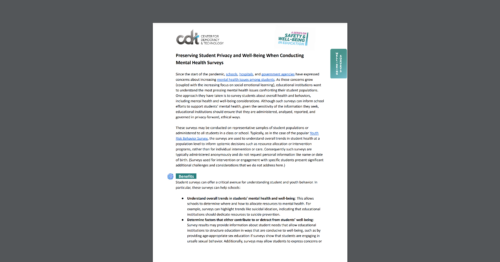 A brief by CDT's Civic Tech team, entitled 