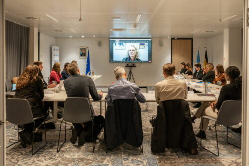 Civil society groups convened by CDT Europe