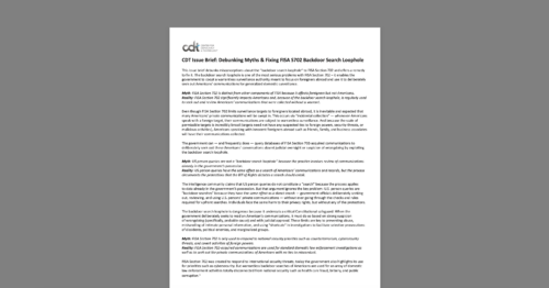CDT Issue Brief, entitled 