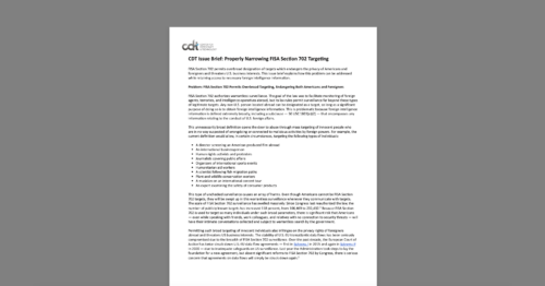 Graphic for CDT Issue Brief, entitled 