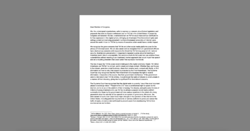 Coalition Urges Congress to Halt Efforts on TikTok Ban, Pass Privacy Legislation. White document on a grey background.