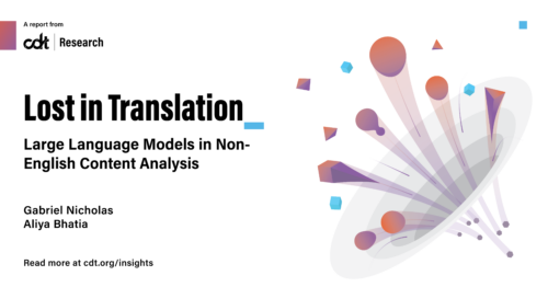 Graphic for CDT Research report, entitled 