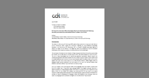 CDT Urges NSF to Fund Non-English Language AI Research. White document on a grey background.