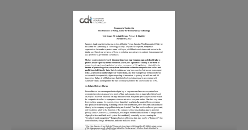 Statement for the U.S. Senate AI Insight Forum on Privacy and Liability. White document on a grey background.