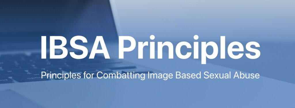 Blue image with text "IBSA Principles" in header.