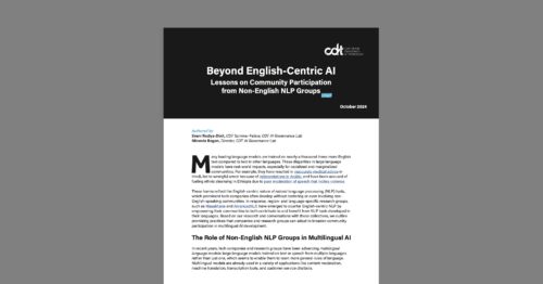 CDT brief, entitled 
