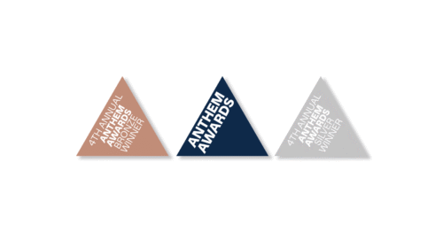 2024 Anthem Awards icons, for both silver and bronze winners.