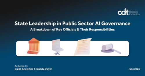 Graphic for an infographic from CDT's Equity in Civic Technology team, entitled 
