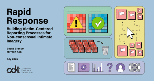 Graphic for CDT report, entitled 