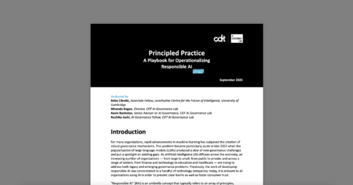 CDT brief, entitled 