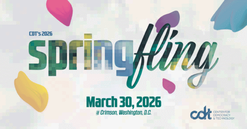 Graphic for CDT's 2026 Spring Fling annual benefit. Illustration of pixelated letters in greens, blues, and yellows with spring tulip petals falling around them.