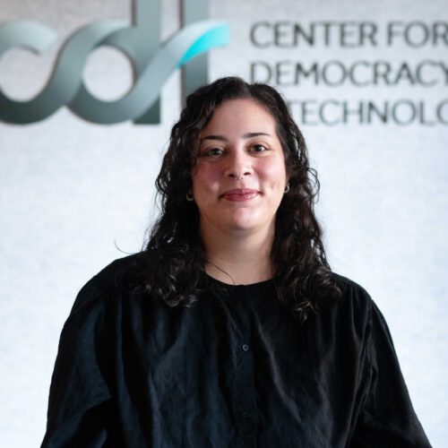 Isabella Hillebrand, in a dark top and curly hair, in front of a CDT logo.