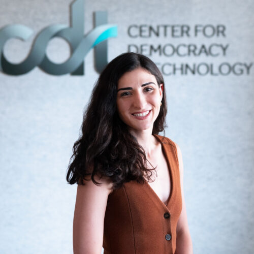 Tess Vartanian, smiling in a burnt orange top and long black hair. Standing indoors in front of a CDT logo.